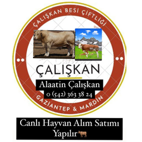 Çalışkan Besi Çiftliği